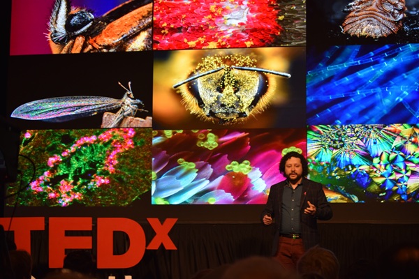 TEDx Talk: La búsqueda de la belleza en lo diminuto - Brandon Antonio Segura Torres